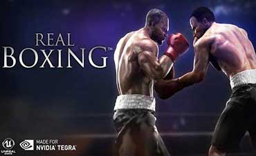 real-boxing