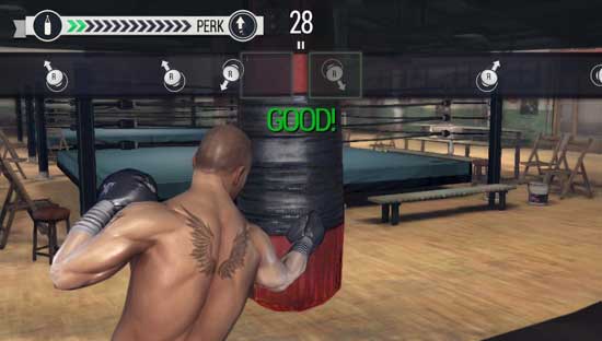 real-boxing