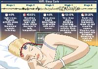 sleep stages web