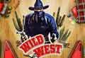 wild-west-pinball